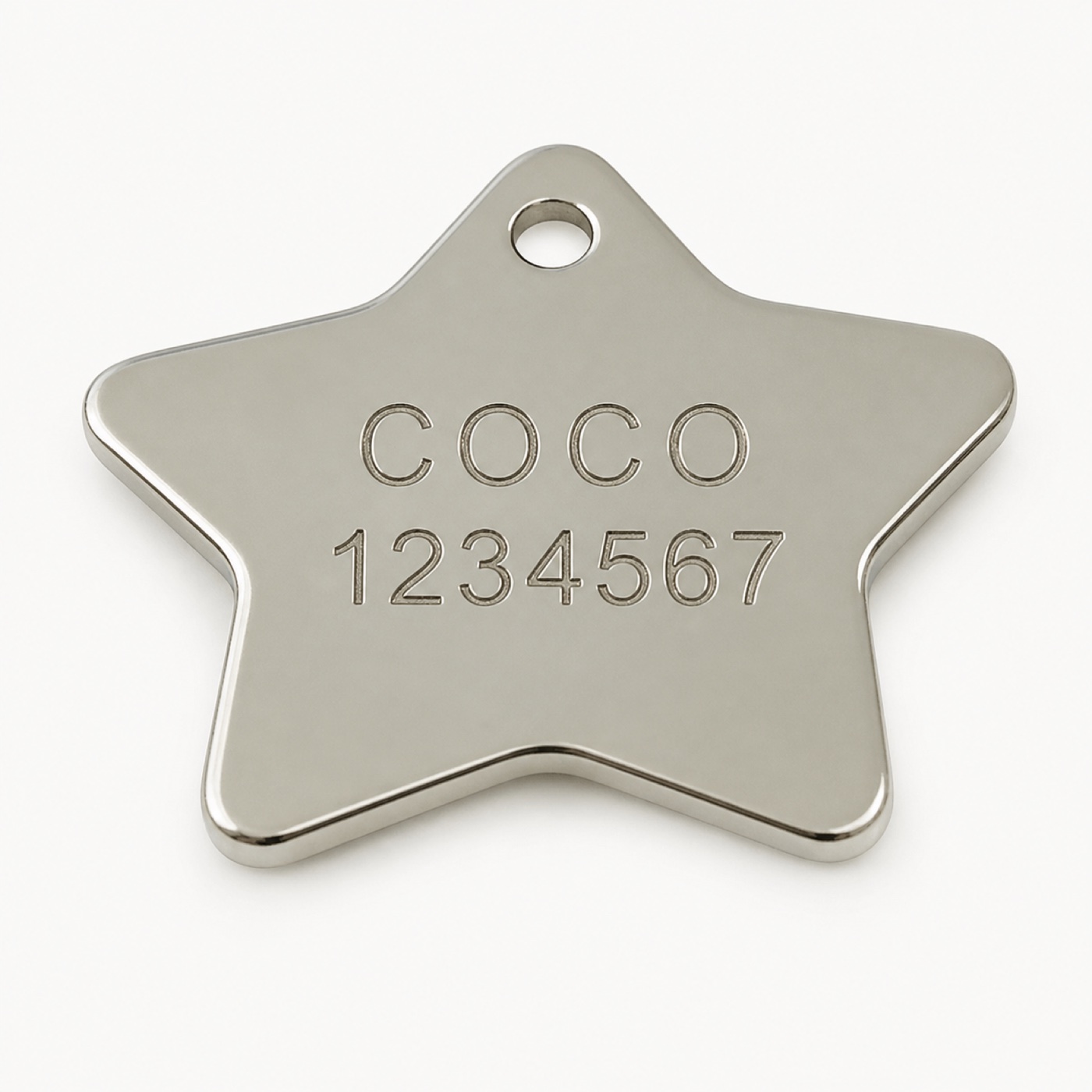 Silver Star Dog Tag